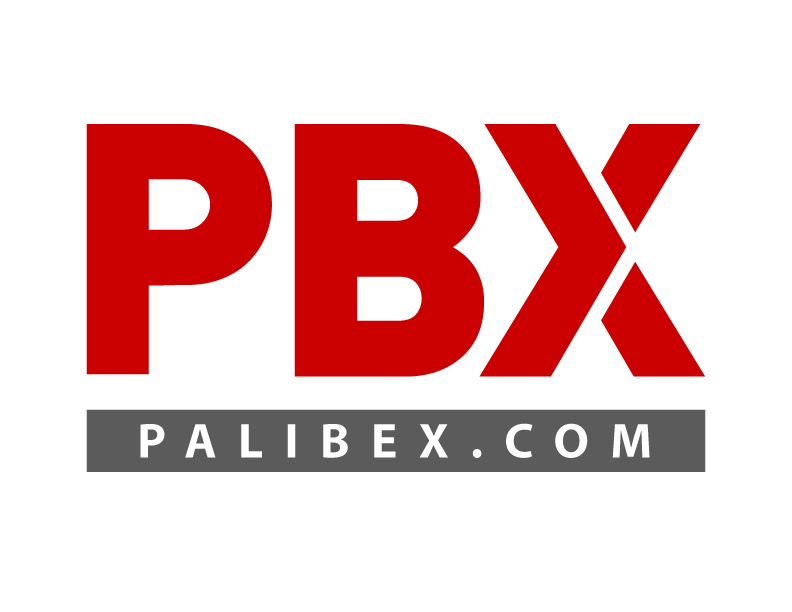 Integração do software ENOVO TMS com a rede de transporte Palibex